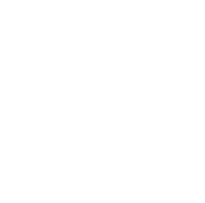 Genix Technology Logo